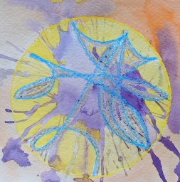 IMG_20200127_133329 (1)